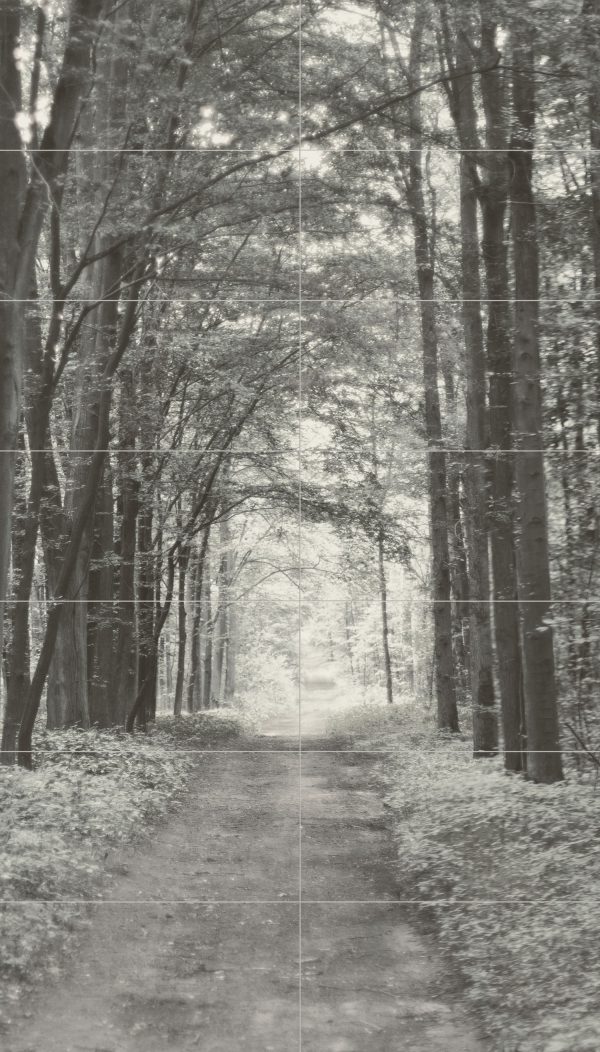 Zdjęcie Kompozycja ścienna Tubądzin All in white 2 119,8×209,8