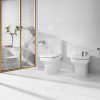 Zdjęcie Deska WC twarda wolnoopadająca Compacto SUPRALIT ® Roca Dama – N 42×35,5 cm, biała A80178C004