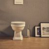 Zdjęcie Miska WC Rimless stojąca o/podwójny Roca Carmen 37×56 cm, biała A3440A9000