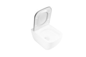 Deska WC wolnoopadająca Excellent Ness biały CENL.3515.500.WH