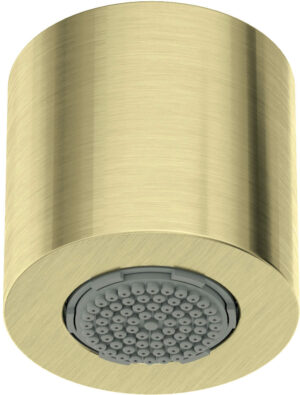 Główka prysznicowa 1-funkcyjna Deante Silia złoty szczotkowany NQS_R30K
