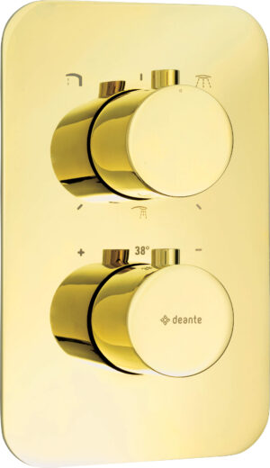 Element zewnętrzny do boxa termostatycznego Deante Alpinia złoty BXY_ZEBT