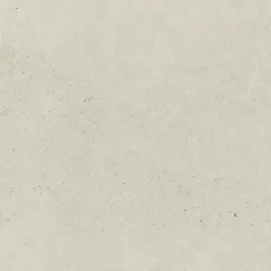 Płytka ścienno-podłogowa 59,8x59,8 cm Paradyż Bergdust White gres szkl. rekt. mat. R-R-0,6X1,2-1-BERG.WH